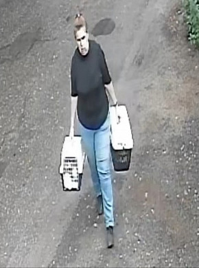 В Иванове женщина выкинула на улицу две  набитые кошками переноски
